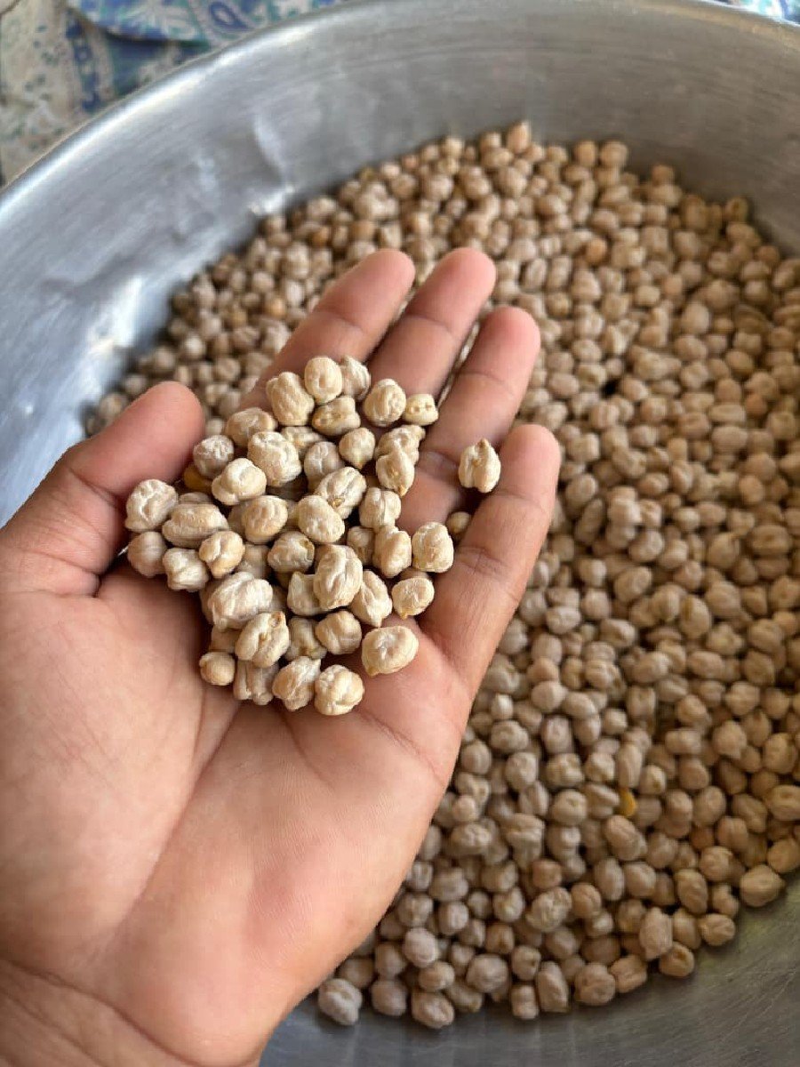 ચણા 1 નંબર બિયારણ