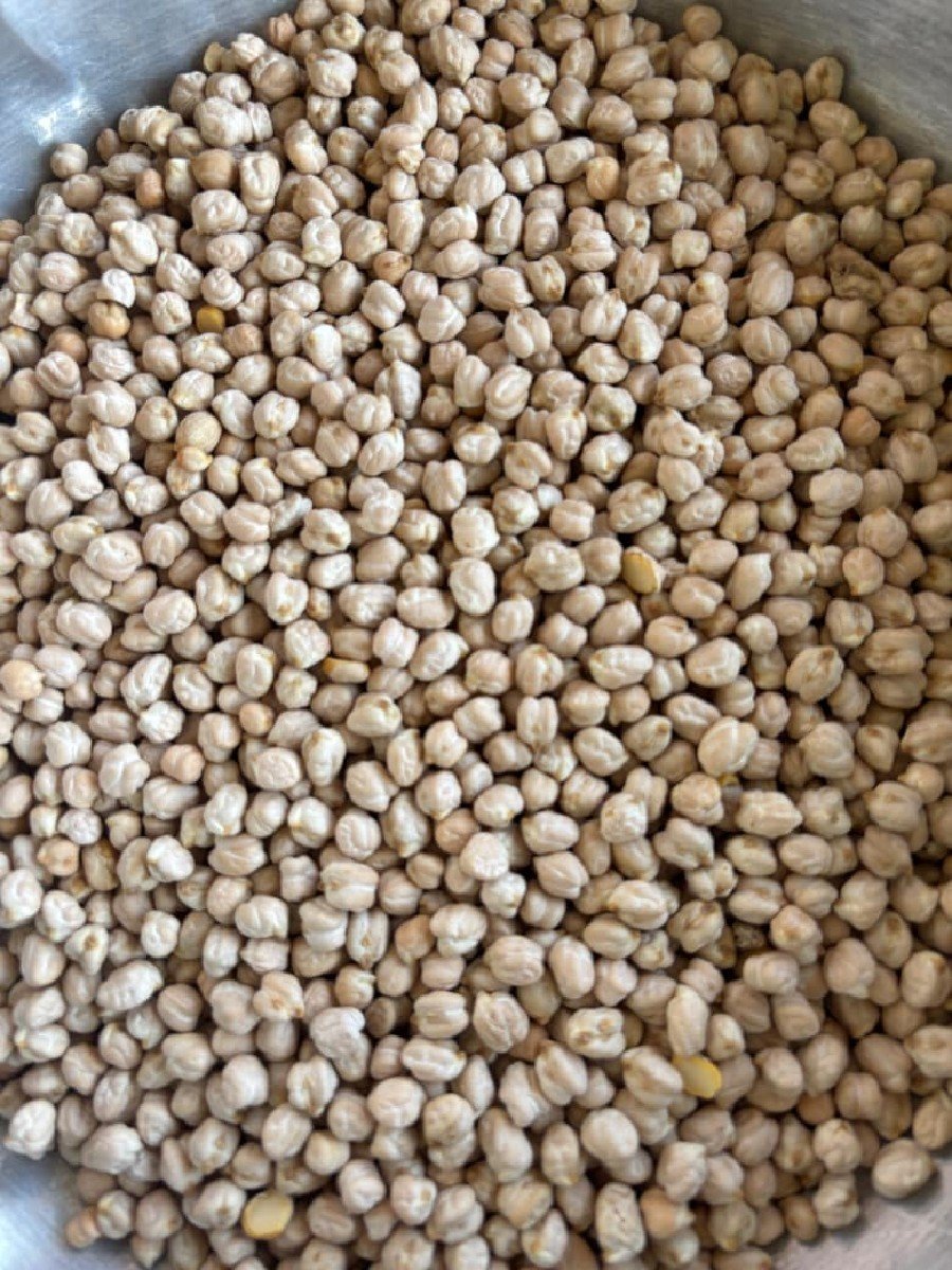 ચણા 1 નંબર બિયારણ
