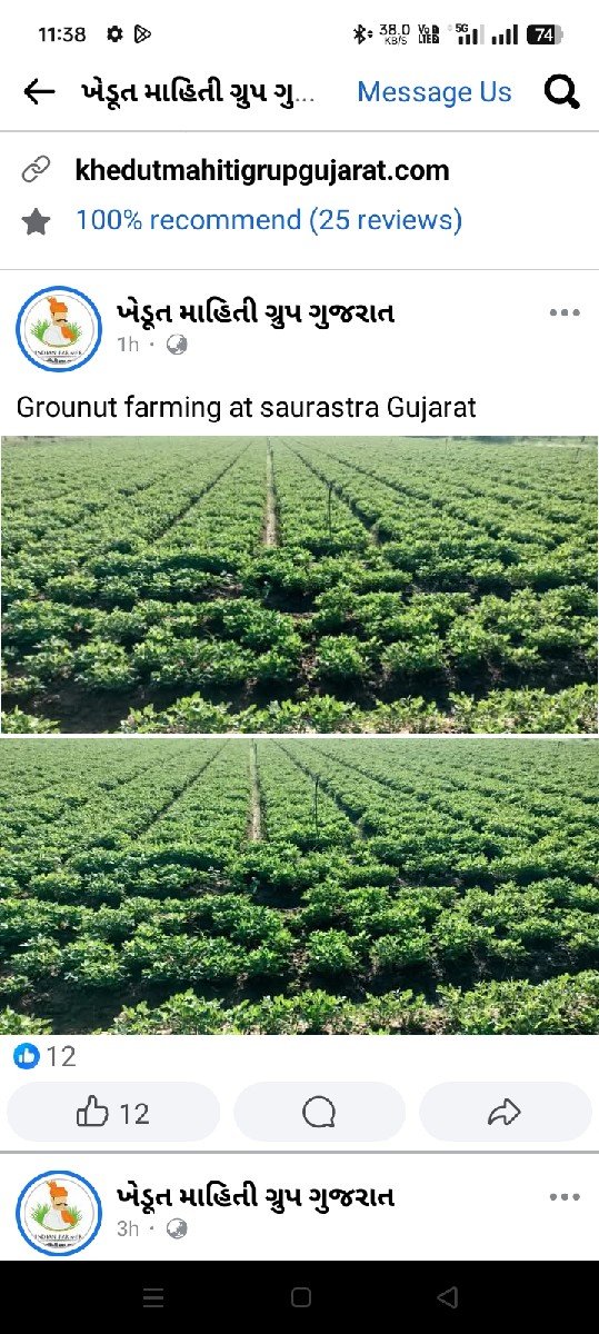 જુવાર ના પૂરા વેસ્વાના સે