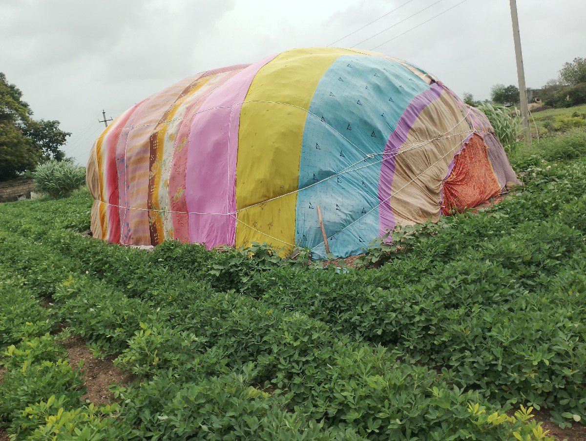 ભૂકો (પાલો) વેચવાનો છે