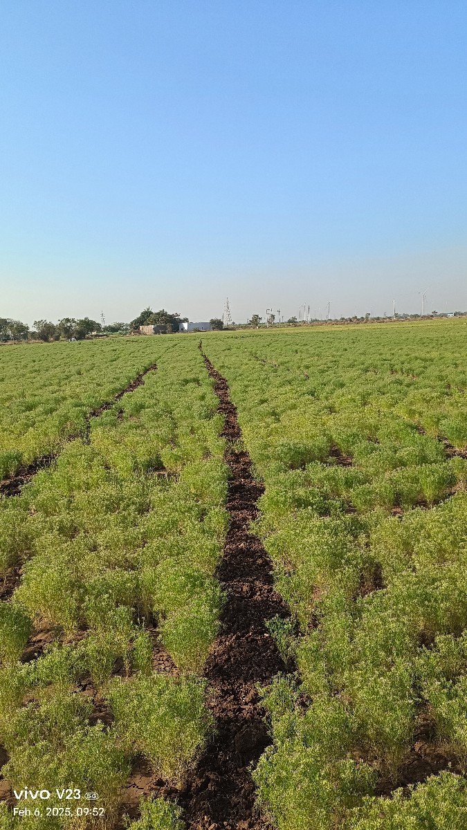 જમીન 3જા ભાગમાં દેવાની છે