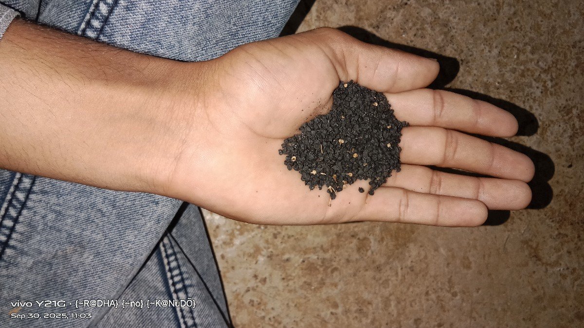 બિયારણ વેચવાનૂ છે.