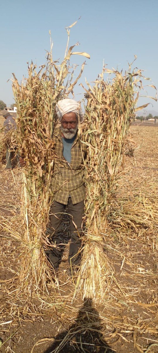 જુવારની છાર વેચવાની છે..