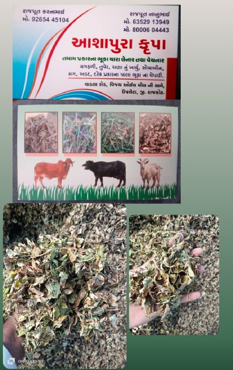 ભૂકો વહેચ વાનો છે