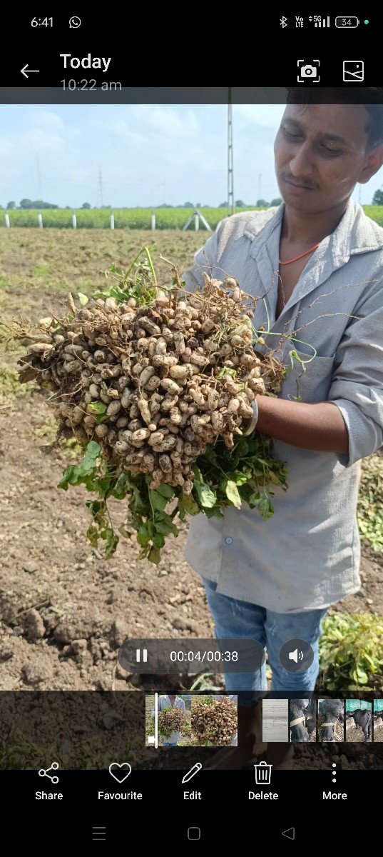35 nabar