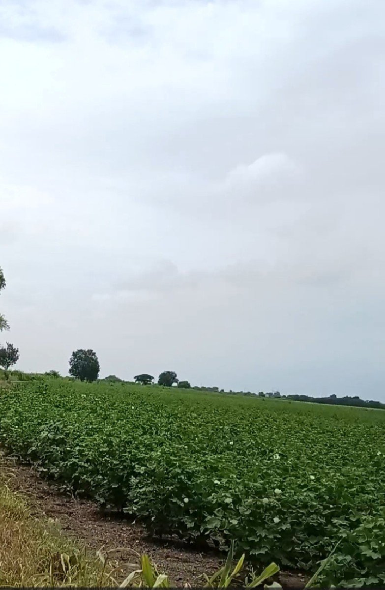 150 છે