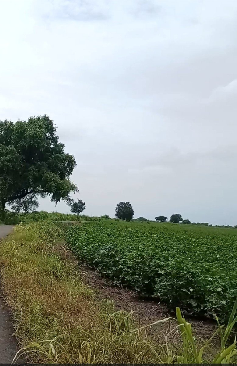150 છે