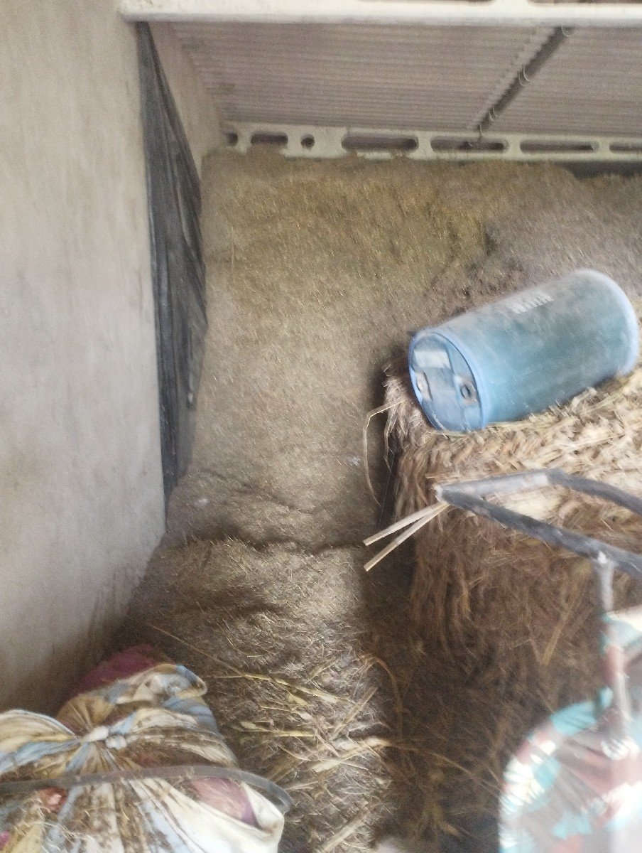 madvi no bhuko vesvano che