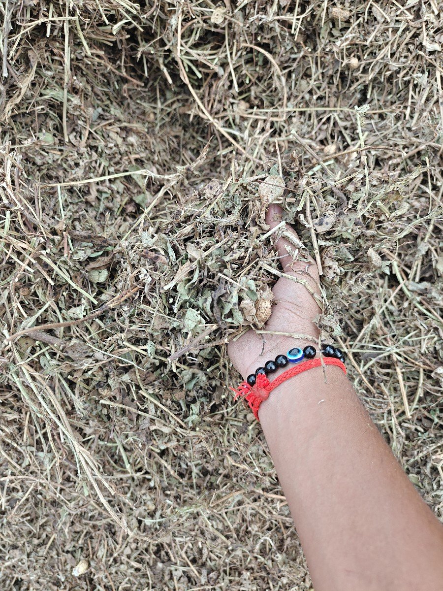 ૨૮ વિઘા નિ નિણ