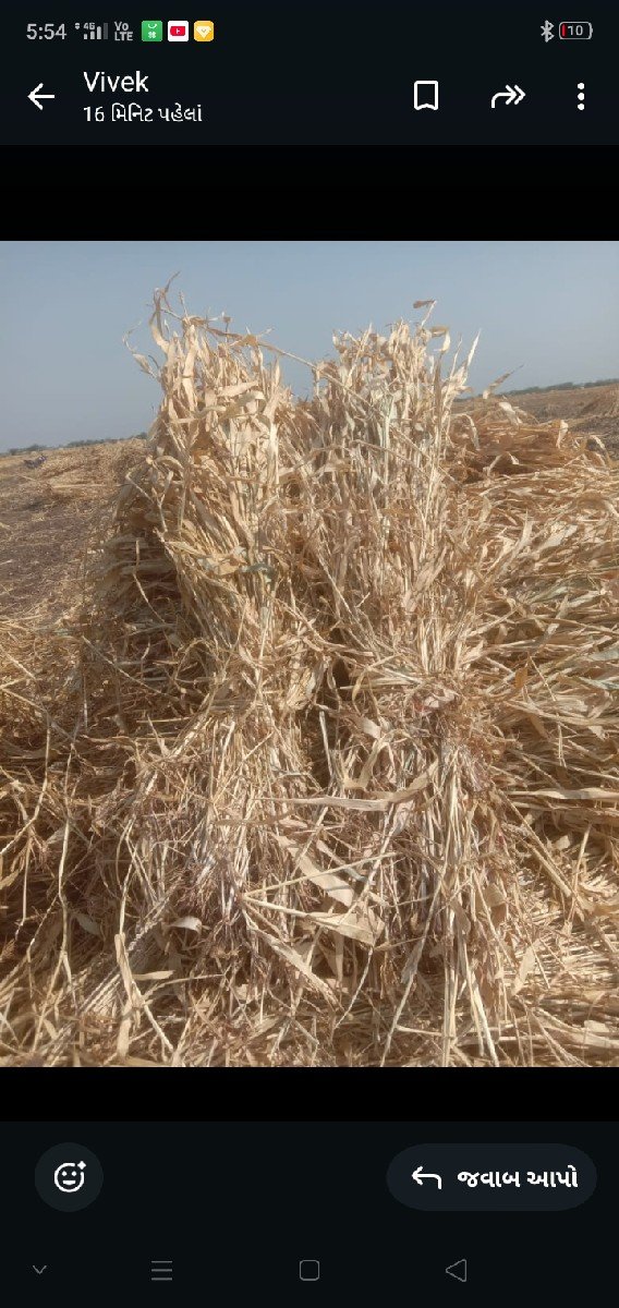 .ચાર,વેચવાનીછે,ફૂલમીઠી