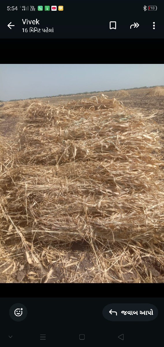 .ચાર,વેચવાનીછે,ફૂલમીઠી