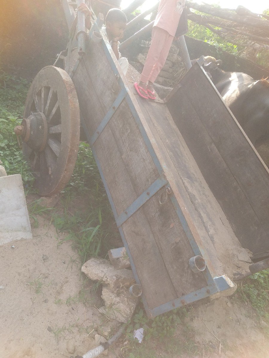 બળધ  ગાડી વેચવા ની છે