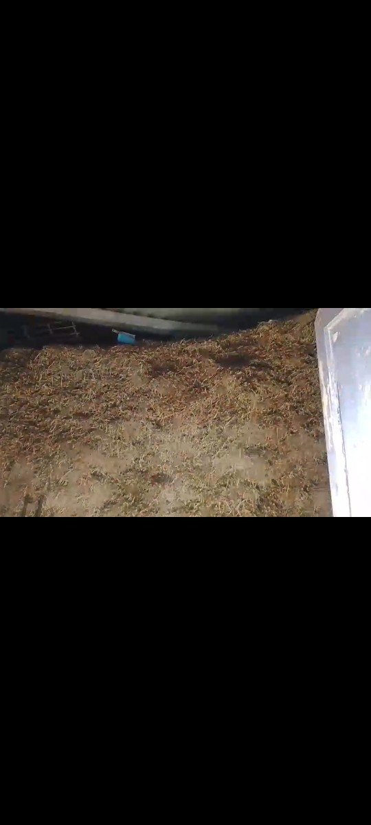 ભુકો વેચવાનો છે.