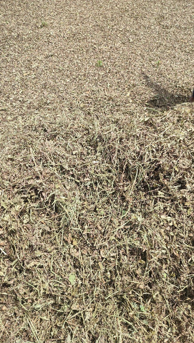 મગફળી નો પાલો વેચવાનો છે