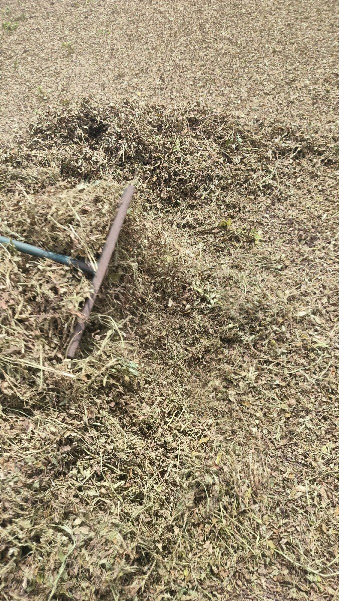 મગફળી નો પાલો વેચવાનો છે
