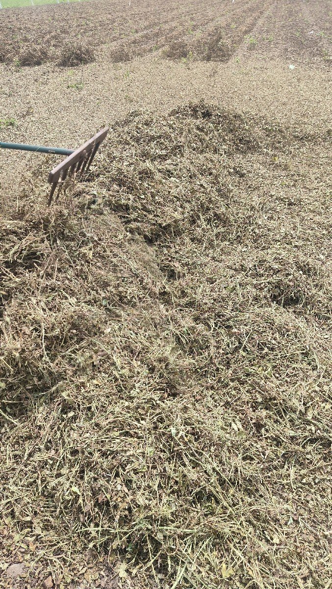 મગફળી નો પાલો વેચવાનો છે