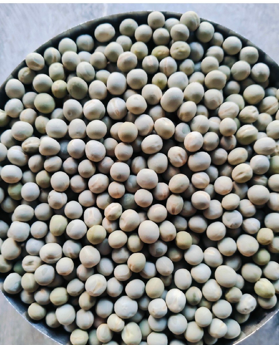વટાણા સુપર કોલીટી બીયારણ
