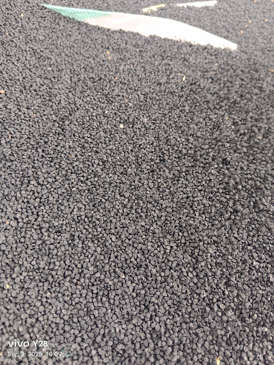 ડુંગળી નુ નવુ ને સારુ બીયારણ