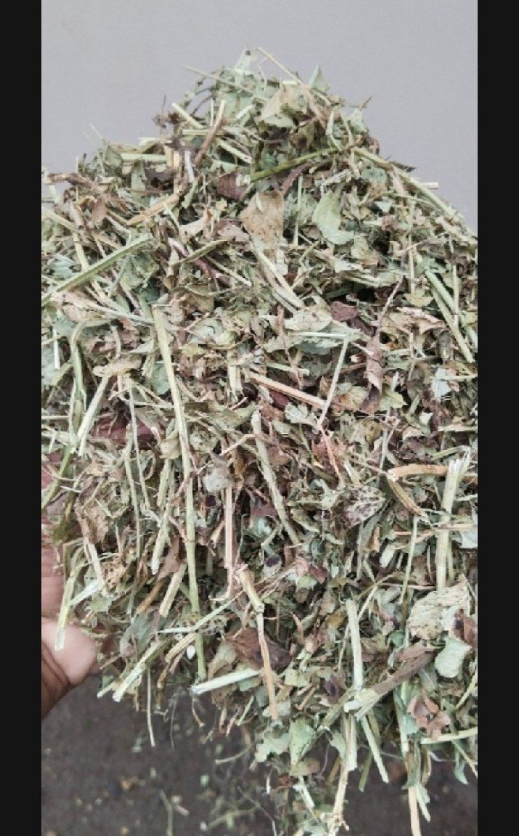 ફોન નંબર 9974659773