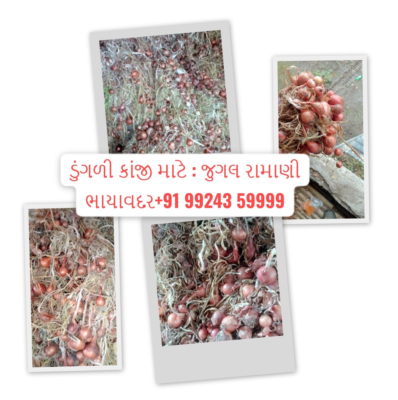ડુંગળી કાંજી માટે મળો