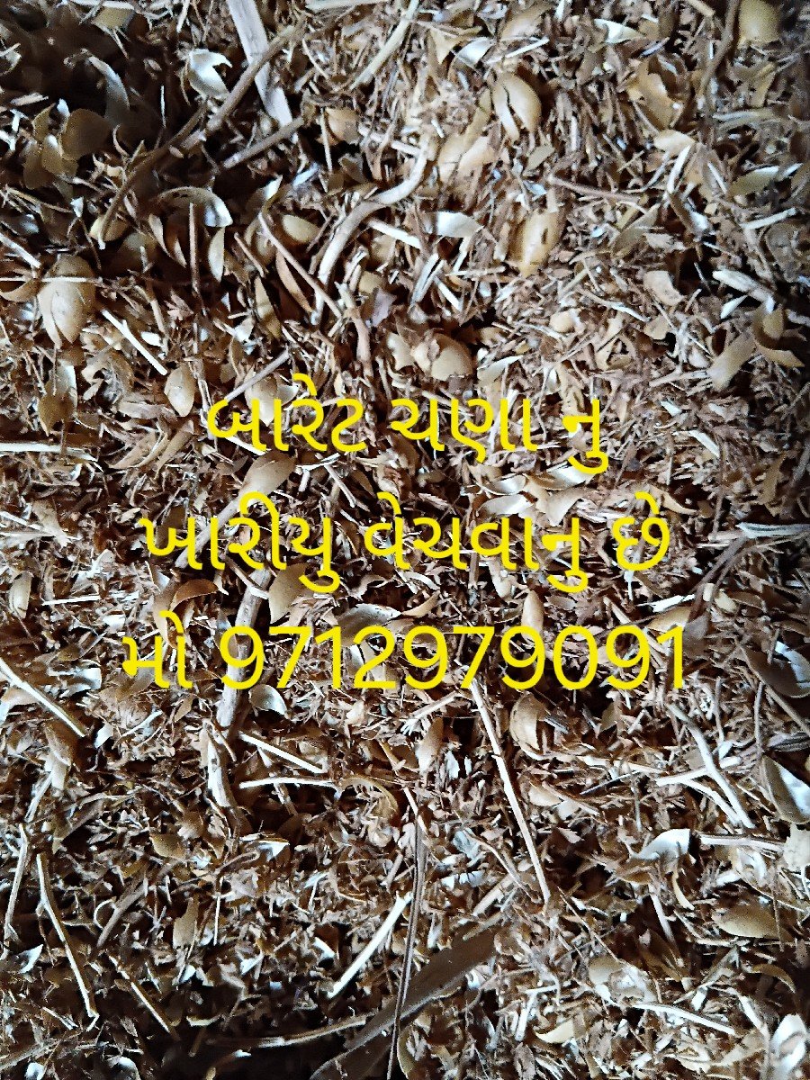 ચણા નુ ખારીયુ વેસવાનુ છે
