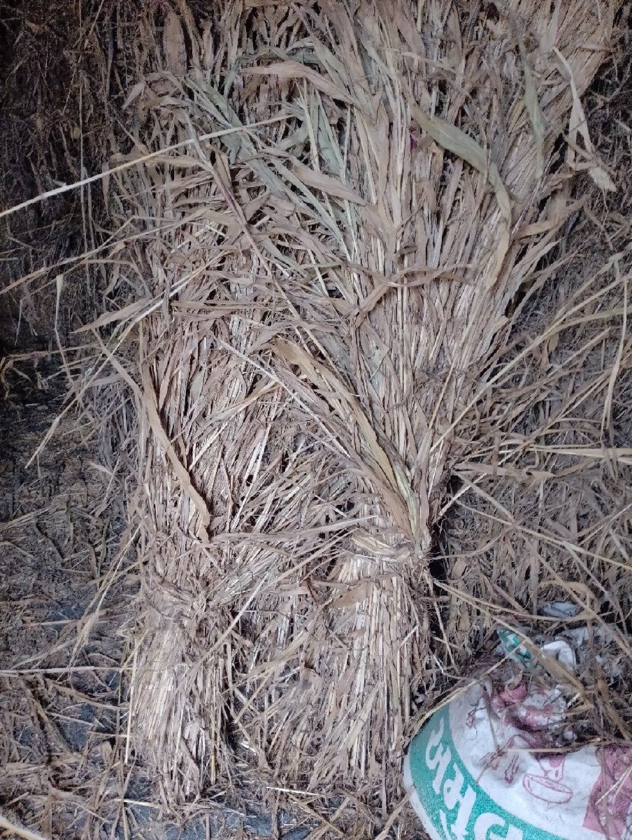 સાર પુરા