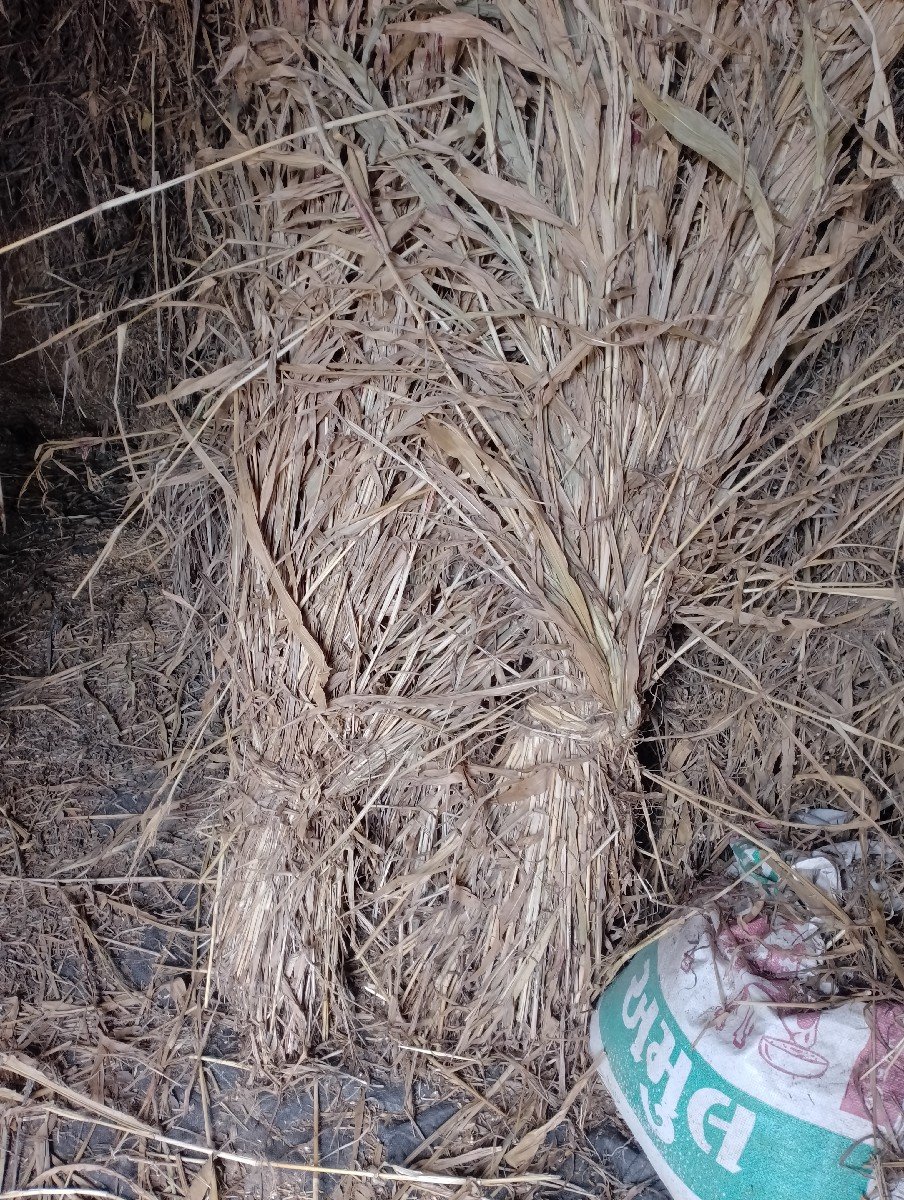 સાર પુરા