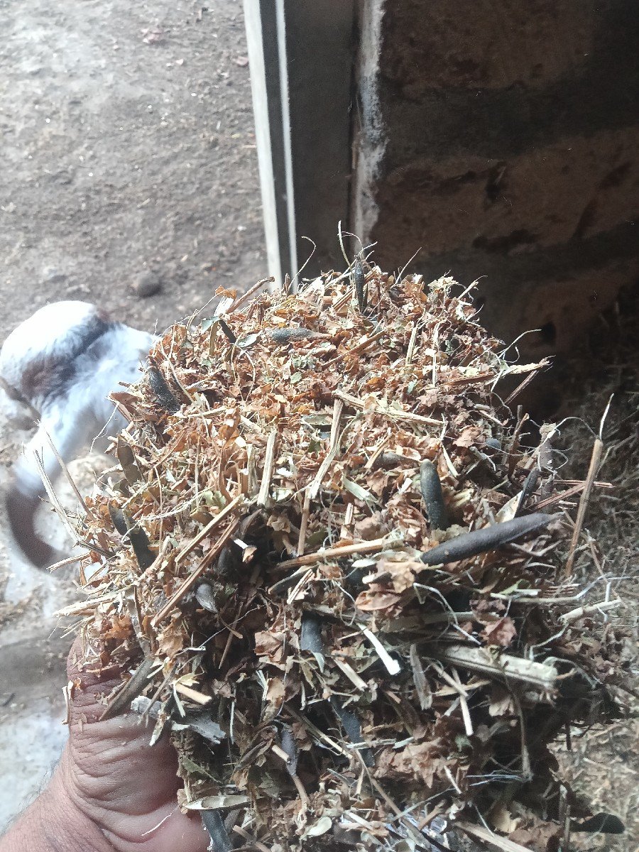 અડદ નો ભુક્કો વેચવાનો છે