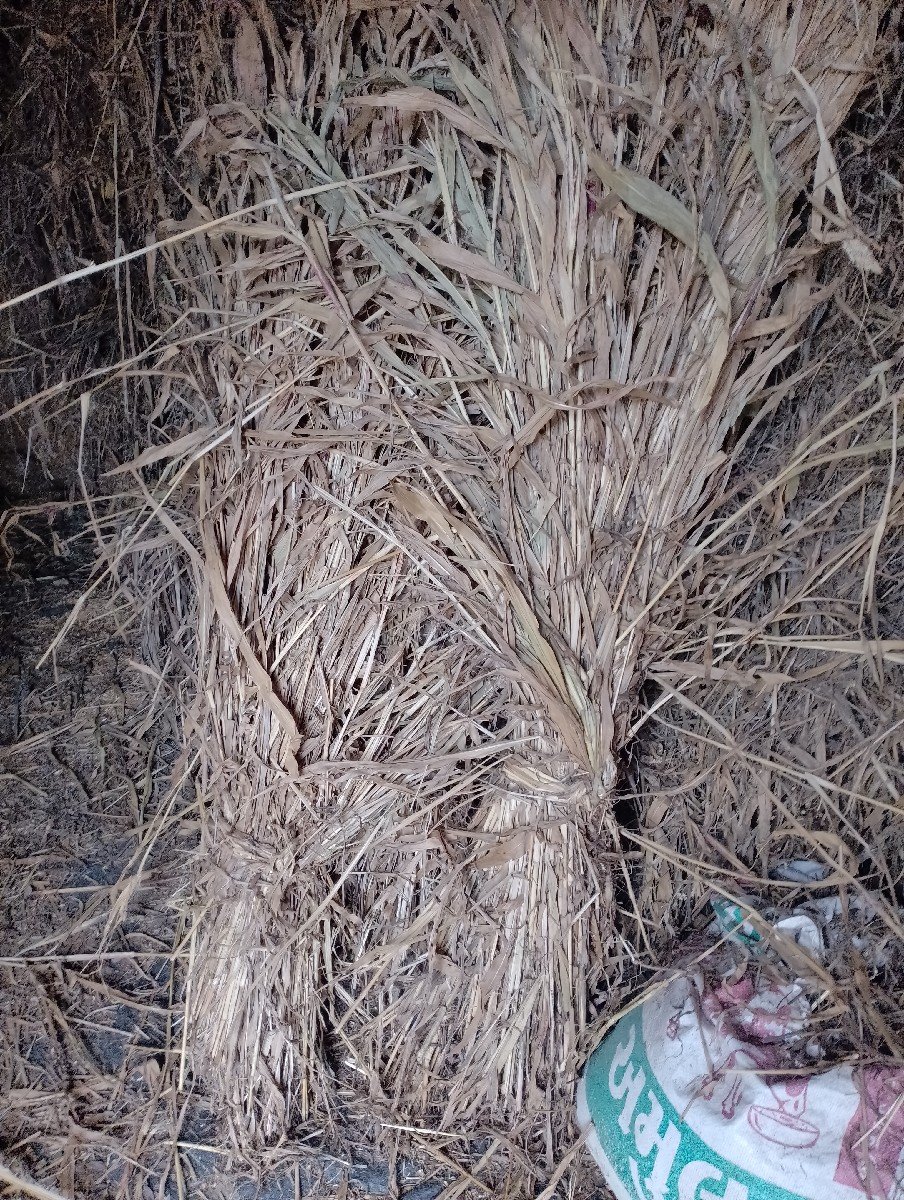 સાર ના પુરા