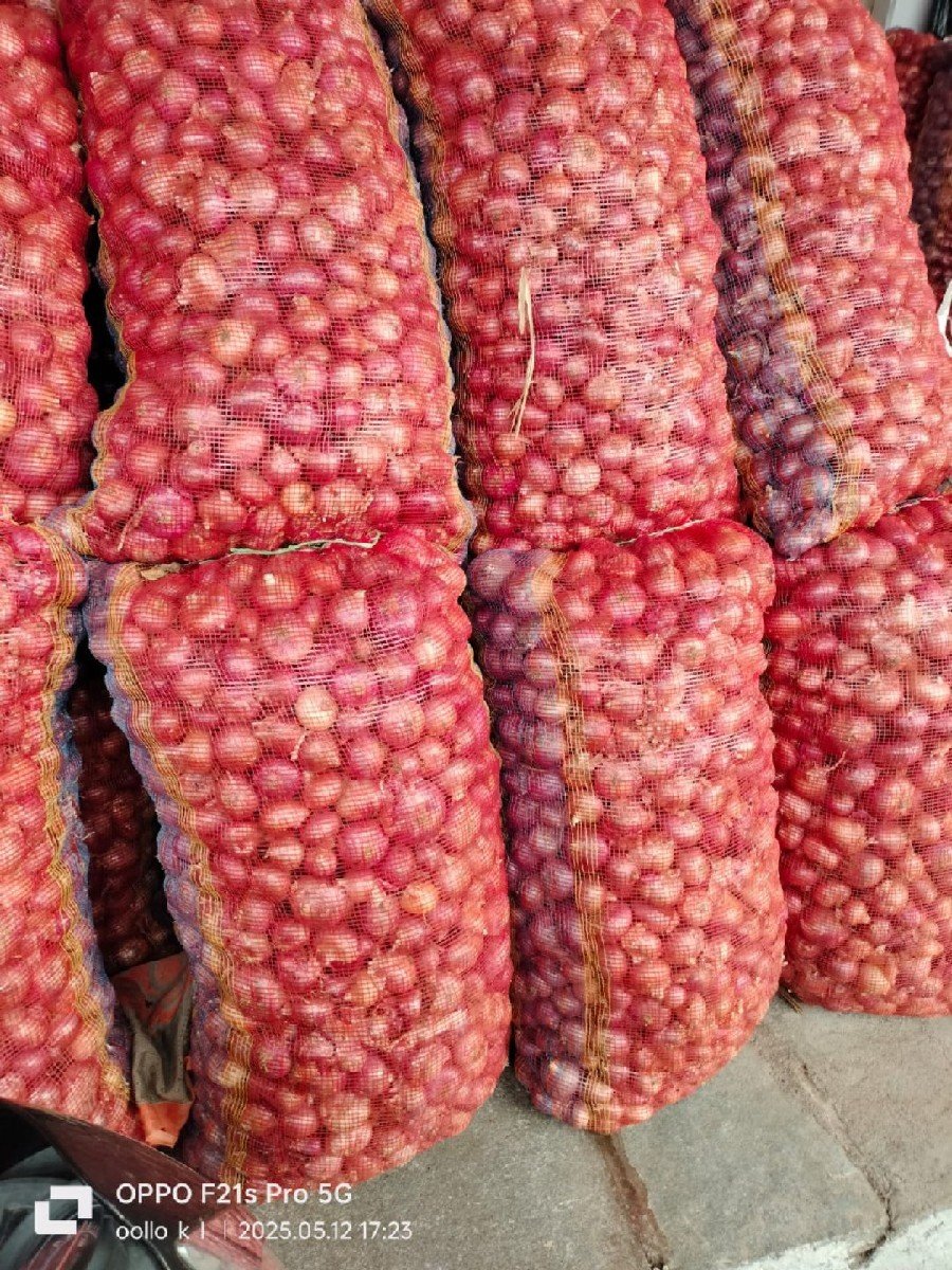 પીળીપતી ડુંગળી