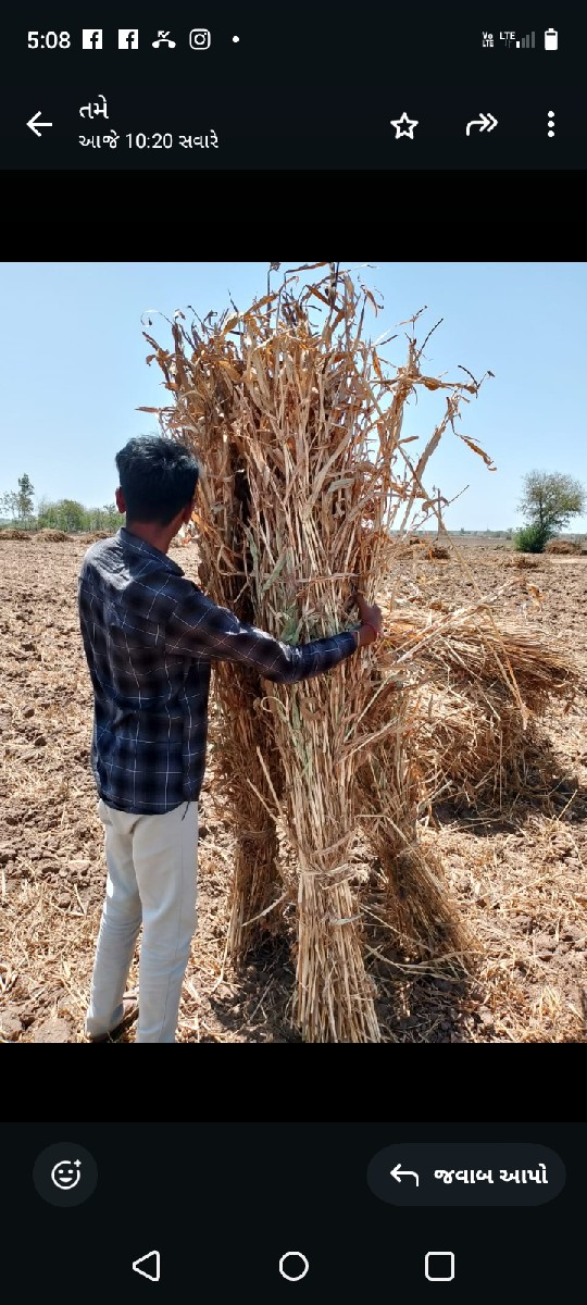 નીરણ વેચવાની છે
