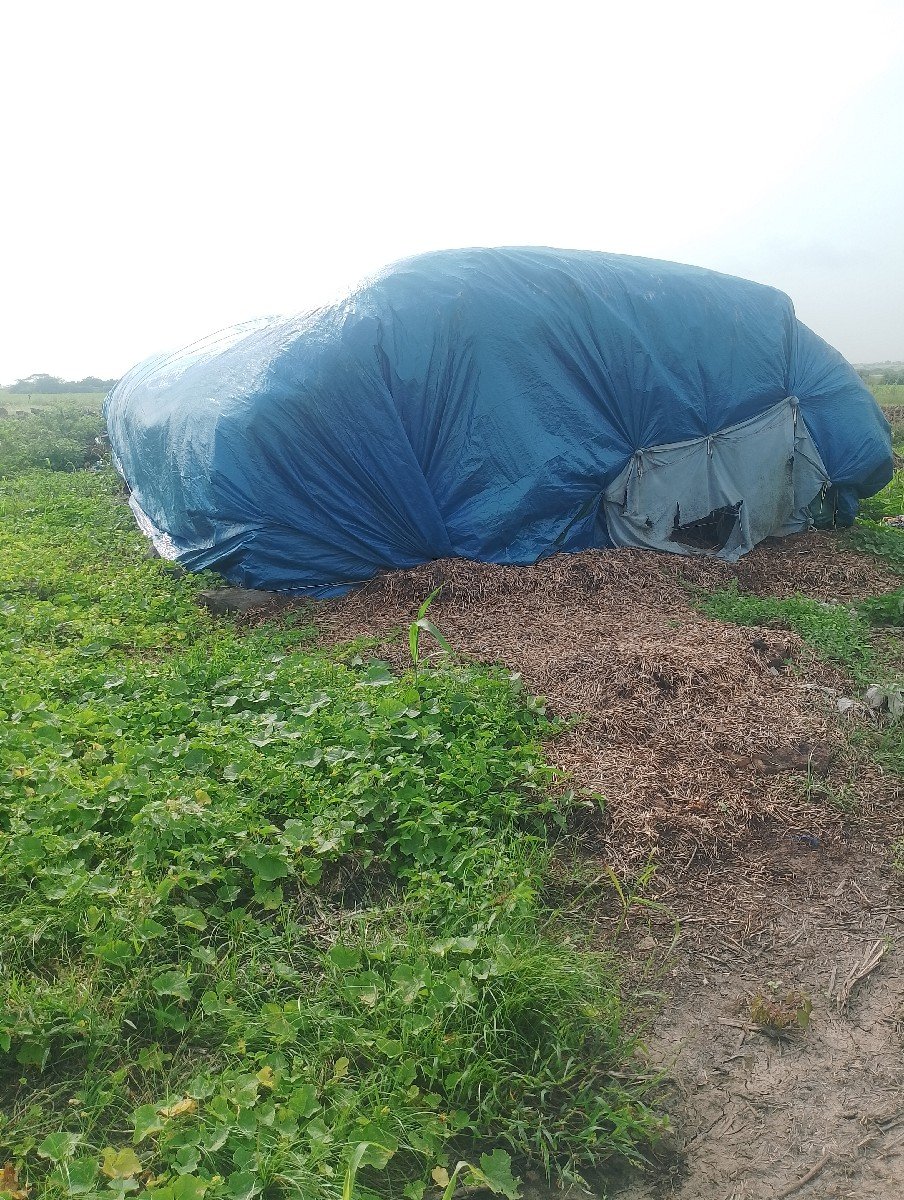નીરણ વેચવાની છે