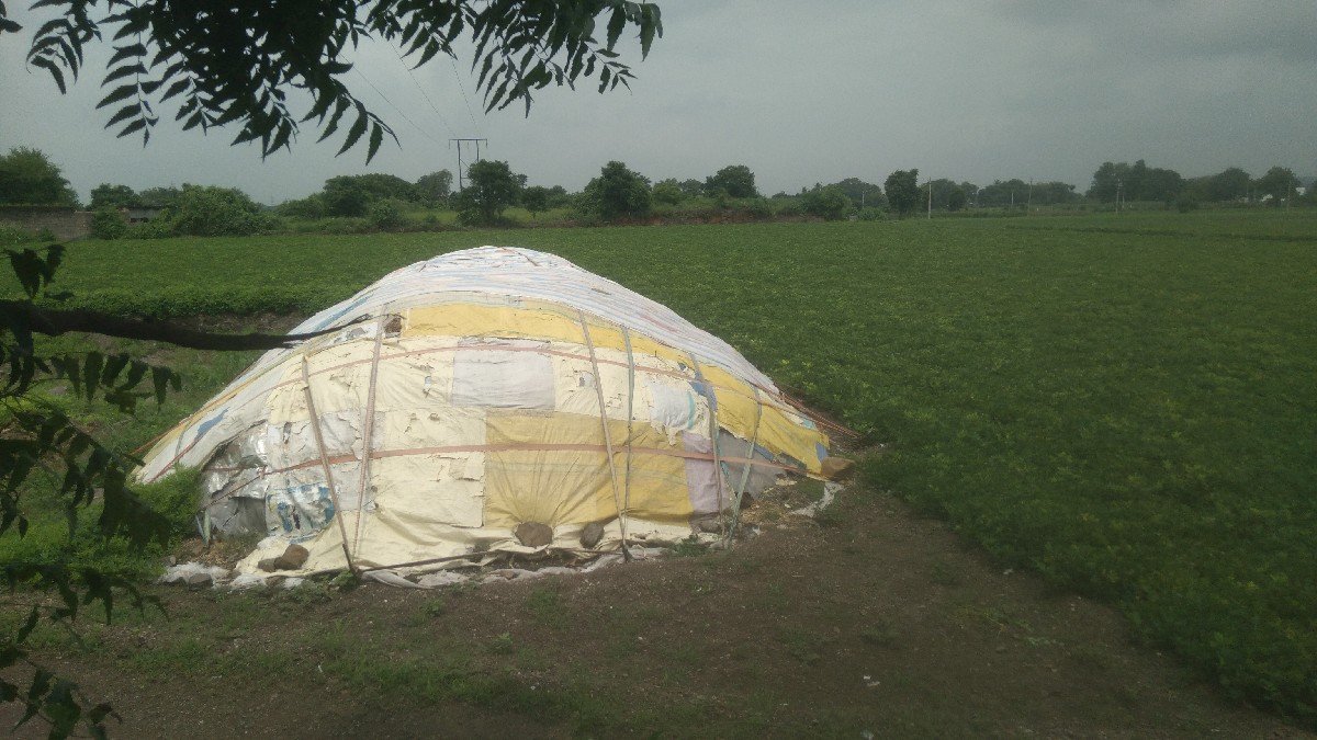 પાલો વેચવા નો છે