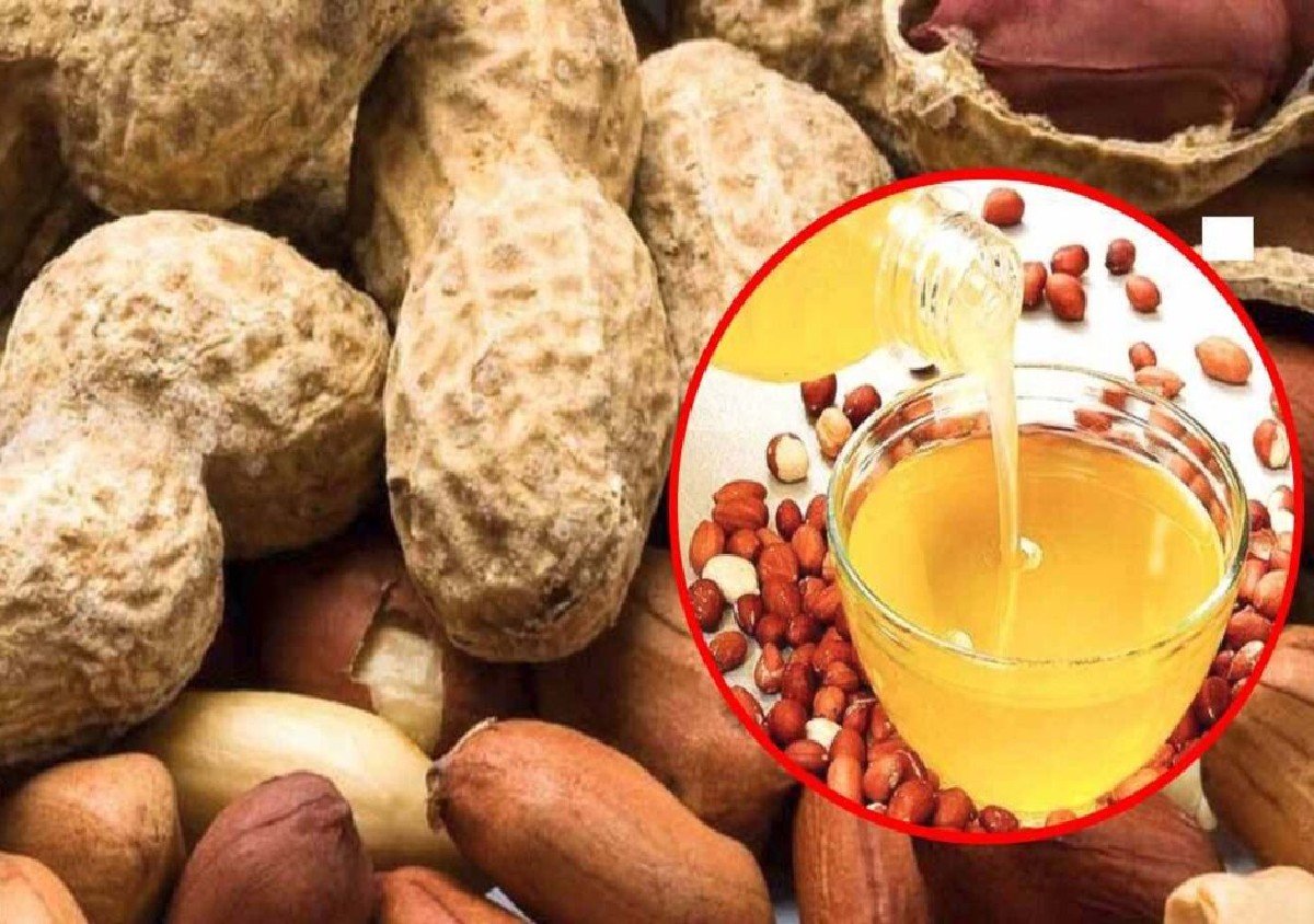 સૌરાષ્ટ્ર નુ કઠોળ તેલ. ધી.મસાલા