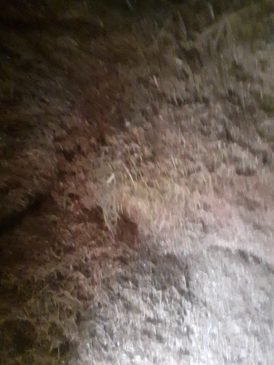 chananu kharyu devanu che