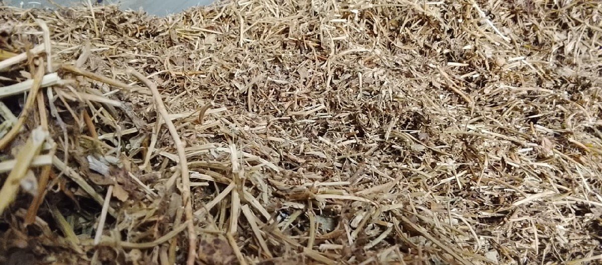 ભૂકો વેચવાનો છે.