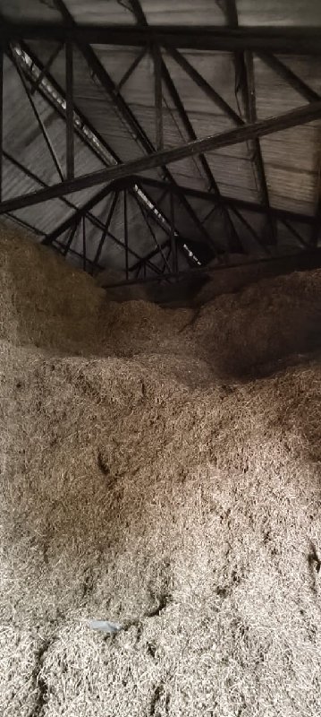 madvi no bhuko palo
