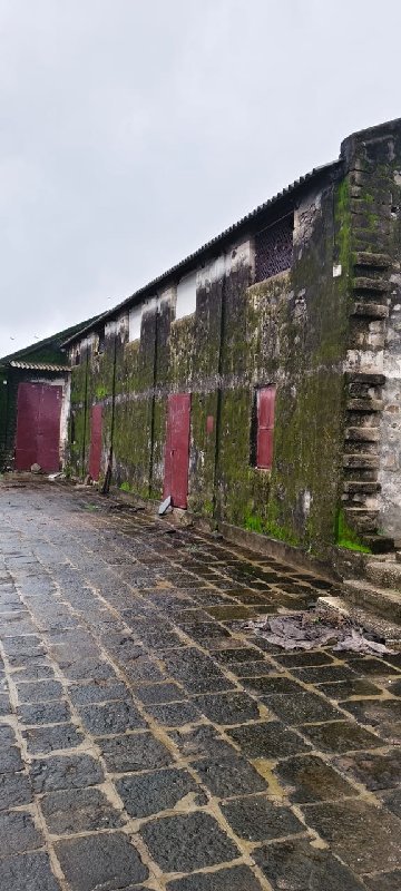 madvi no bhuko palo