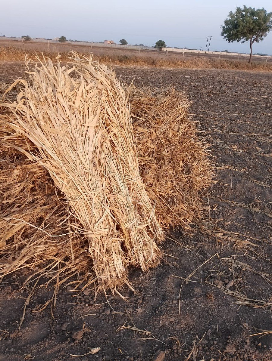નીણ વેચવા ની છે