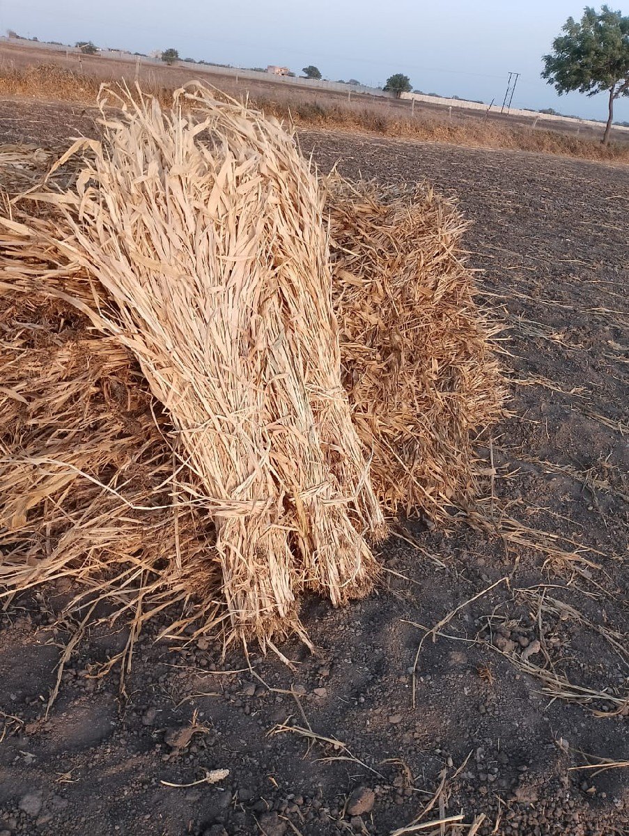 નીણ વેચવા ની છે