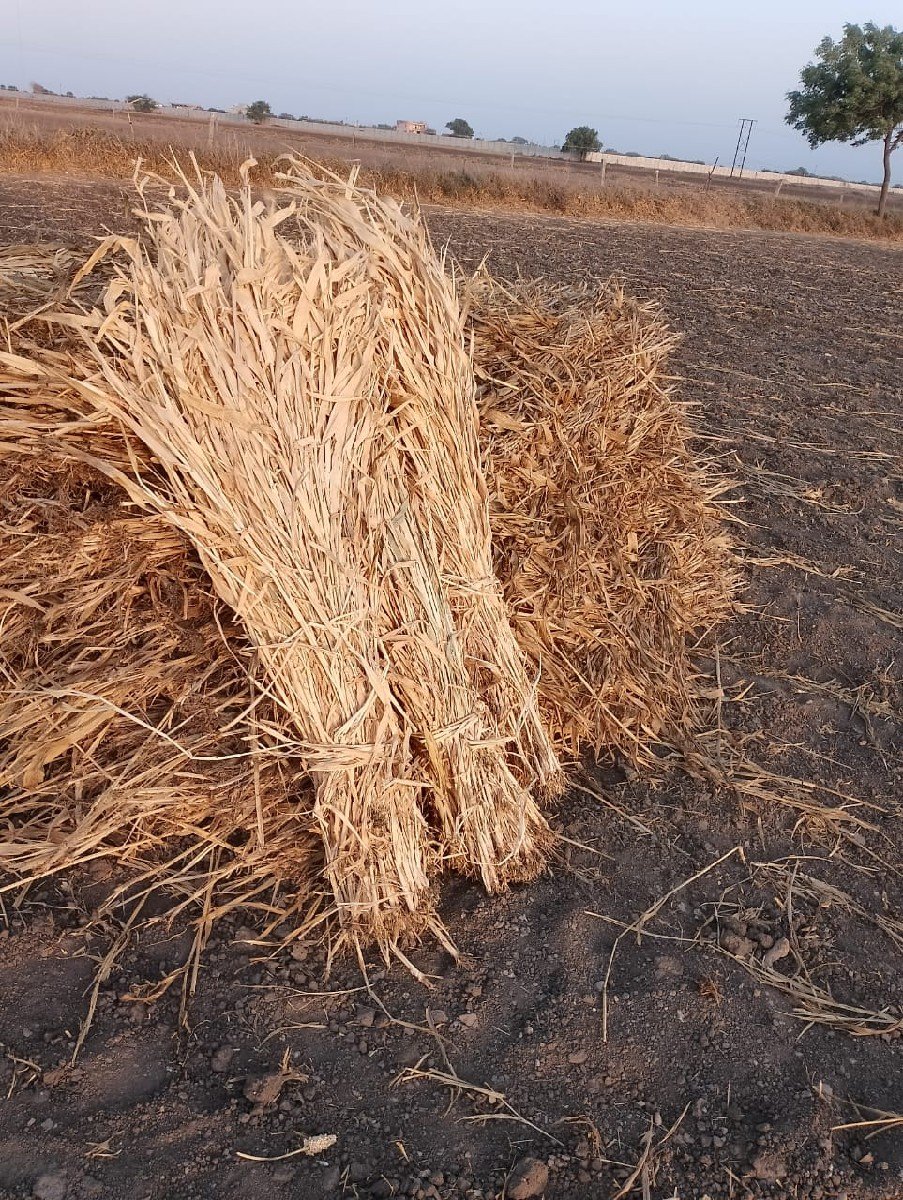 નીણ વેચવા ની છે