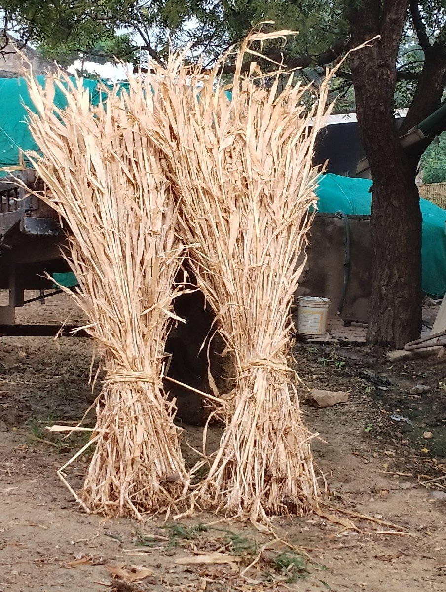 , સાર વેસવાની સે