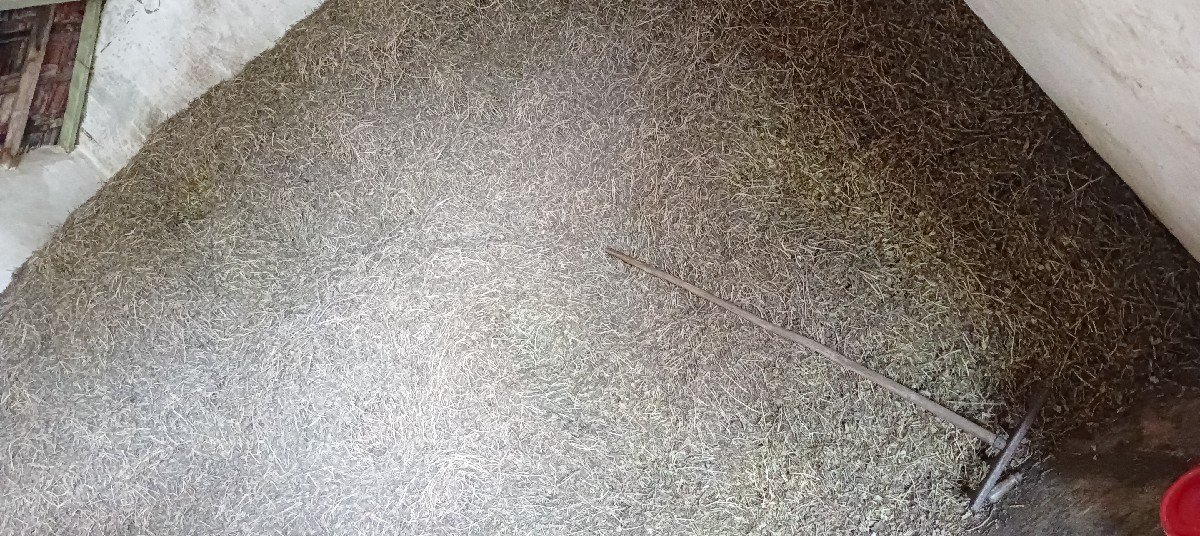 ભુકો