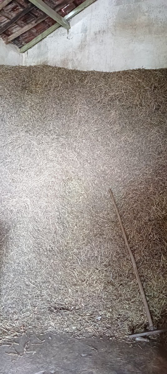 ભુકો