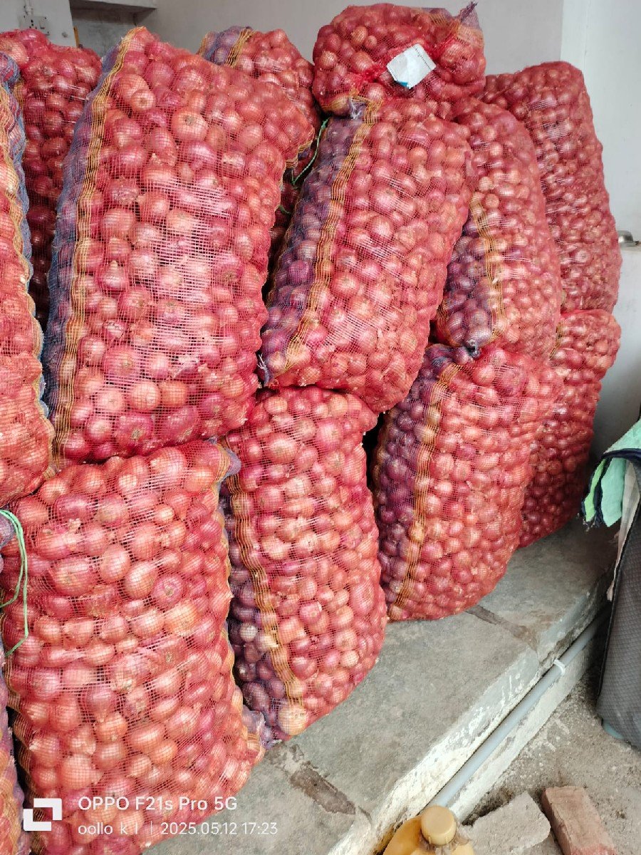પીળીપતી ડુંગળી