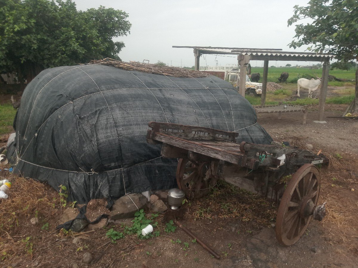 ભૂકો વેચવાનો છે , 6 વિઘા નો