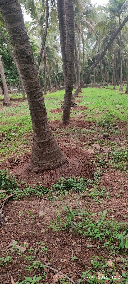 વંડી. રીંગું. ખામળા