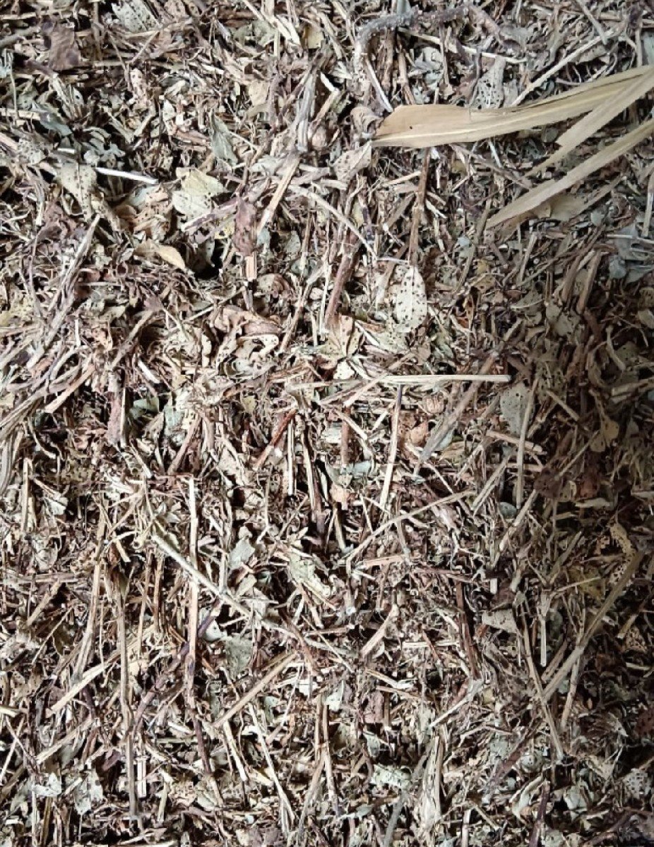 મગફળી નો પાલો