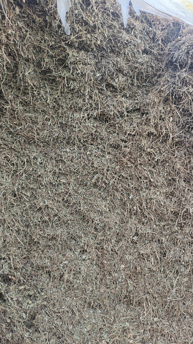 મોગુતું બેસવાનું સે  2 જાકડા    મ