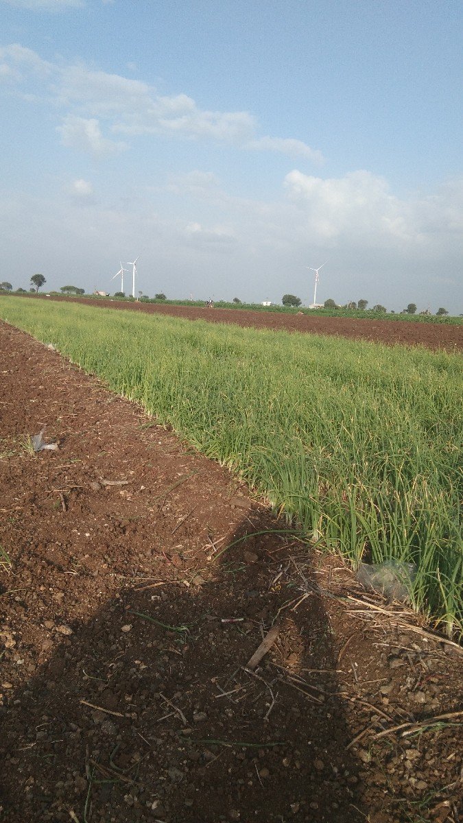 dugali no rop